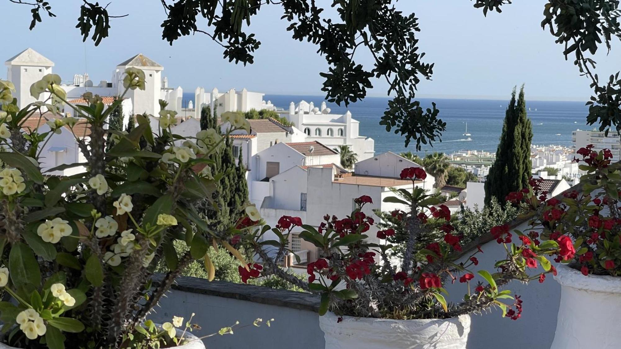 Terra Aloe Hotell Torremolinos Exteriör bild